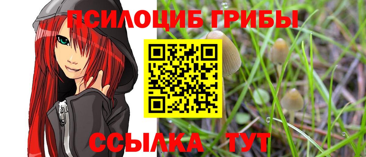 Владивосток  Псилоцибиновые грибы MAGIC MUSHROOMS  Вход с VPN 